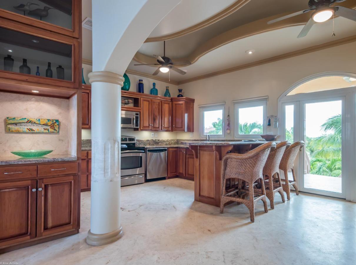Belizean Cove Estates Luxury Beachfront Villa 圣佩德罗 外观 照片