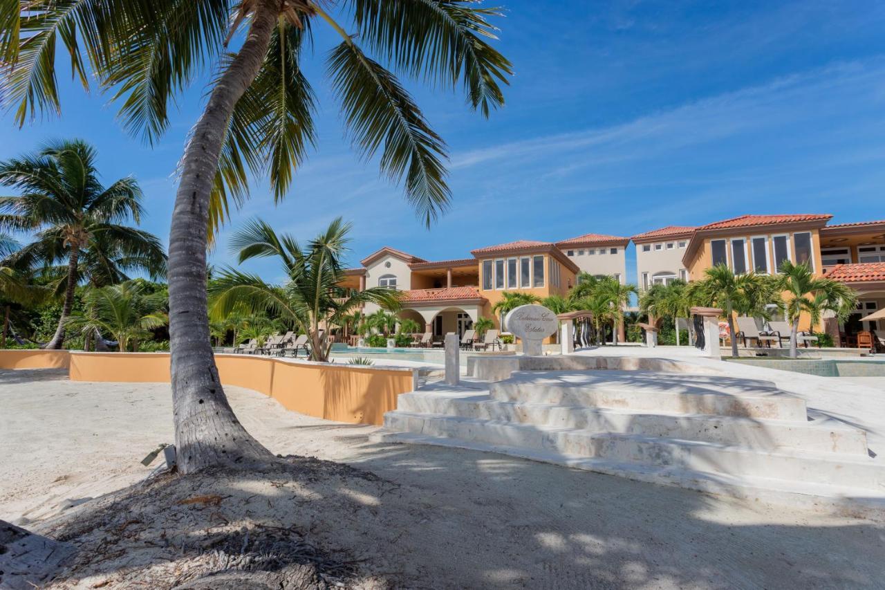 Belizean Cove Estates Luxury Beachfront Villa 圣佩德罗 外观 照片